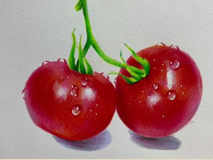 彩铅西红柿🍅#手绘 #彩铅 #彩铅手绘 #零基础教学