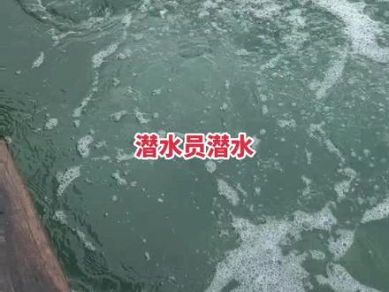 潜水员潜水海底,每天一到几千米每小时,时间充足,赚米又多,吸引了太多年轻人来加入这一行业。