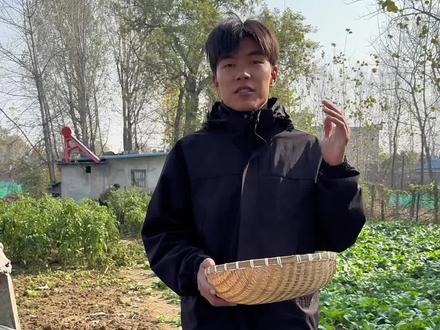 有自己家菜地里的菜烧一顿大餐!这应该是有机蔬菜吧!