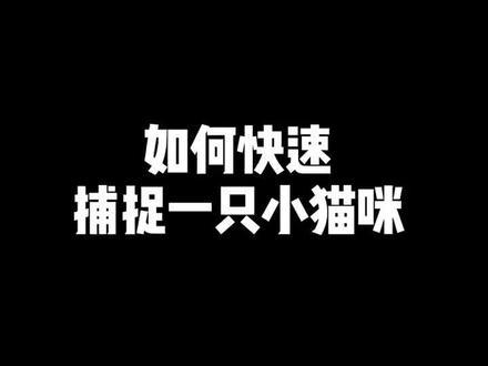 分享一个养猫小技巧,想撸猫抓不到的时候可以使用#萌宠 #抖音小助手 #猫