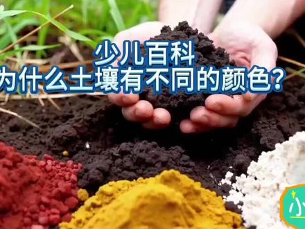 小朋友们,你们有没有注意过,土壤的颜色是不一样的?有的地方是黑色的,有的地方是红色的,还有黄色甚至白色的!这可不是谁画上去的,而是由土壤里的不同成分决定的哦。
🌱 **黑色的土壤**
比如我们东北的黑土地,因为它含有特别多的“腐殖质”。什么是腐殖质呢?它就是由落叶、枯草等植物分解后形成的有机物质,就像土壤的“营养汤”,能让土壤变得非常肥沃,非常适合种庄稼。
🔴 **红色的土壤**
常见于南方,它里面含有一种叫“氧化铁”的成分,就像铁生锈之后会变红一样,土壤也就变成红色啦。这种土壤通常有点偏酸性。
🟡 **黄色的土壤**
比如长江流域的土壤,它里面含有的氧化铁和水结合了,变成了“水合氧化铁”,颜色就比红色的更浅一些,呈现出黄色。
⚪ **白色的土壤**
在一些干旱的地方,土壤里含有比较多的高岭石、石膏等浅色矿物质,所以看起来偏白。这种土壤可能盐碱含量比较高,不太适合植物生长。
💧 **水分也会影响颜色**
还有一个有趣的小知识:土壤的干湿也会影响它的颜色。潮湿的土壤颜色通常会更深一些,而干燥的土壤颜色会浅一点。
✨ **总结一下**:
土壤的颜色告诉我们它里面含有什么、肥不肥沃、适合种什么。不同颜色的土壤是在不同气候和环境条件下,经过非常长的时间形成的。所以我们平时看到不同颜色的土,就可以猜一猜它大概是什么样的土壤啦!#土壤的颜色#土壤#科普#少儿百科 #十万个为什么 @DOU+小助手 @DOU+上热门 @抖音小助手