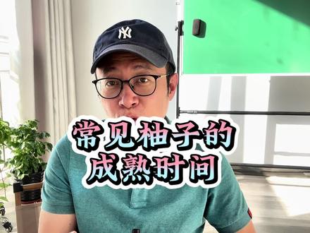 柚子成熟才好吃!