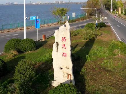 来了一趟骆马湖就落马,骆马湖真成了“落马”湖了?#宿迁 #骆马湖#地域文化 #城市介绍 #航拍宿迁