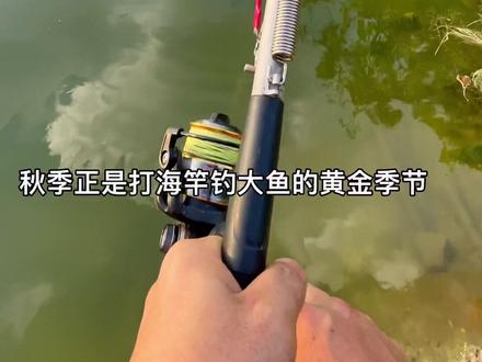 猎途新款自动钓鱼竿让你轻松享受垂下的乐趣!也能当普通海竿来使用#海竿 #钓鱼技巧 #鱼竿 #野钓技巧 #渔具用品