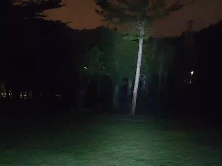 博涵slr原厂夜间测试