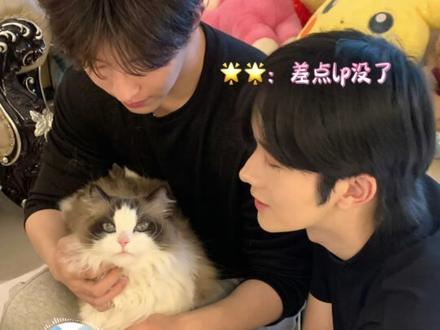 🌟🌟:lp还是得自己选的😊#黄星 #邱鼎杰 #弄简