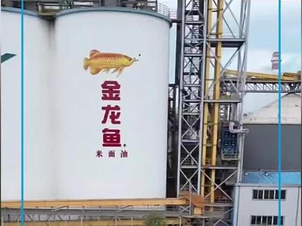 @以后不要买金龙鱼食用油了,给我我也不敢要了。不安全了。