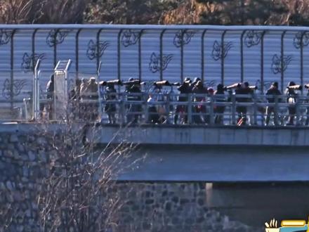 一月21日,平谷西峪水库十四只白尾海雕争霸战 #新摄雕英雄传#冬季到平谷看雕