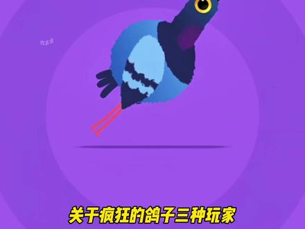 关于疯狂的鸽子三种玩家 #疯狂的鸽子 #玩到爽飞 #抖音小游戏