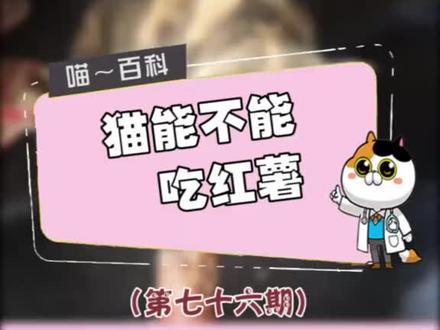 猫咪能不能吃红薯?#涨知识