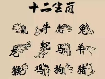 十二生肖各有各的命@抖音小助手