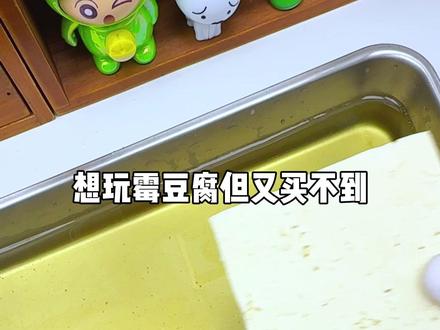原来在家自制霉豆腐这么简单啊! #霉豆腐 #豆腐 #挑战在家自制霉豆腐 #霉豆腐教程 #美食
