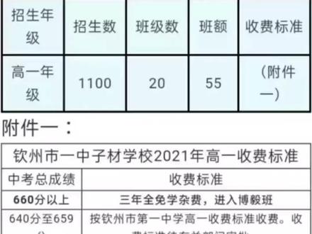 钦州一中(子材学校)高一收费标准,660分以上免学杂费,660以下分几个档次收费。