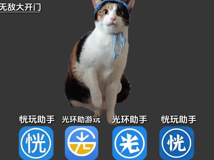 哈基米 蒸蚌!(猫咪素材:@超级无敌大开门) #萝卜纸巾猫咪 #光环助手手游 #整活 #萝卜纸巾猫咪逐渐抽象