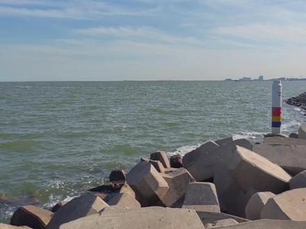 #上热门 #研究生 #影响因子 #期刊分区 #干货分享 查杂志历年影响因子、JCR分区和中科院分区的教程来啦😉