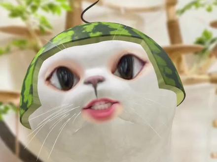 看一下适合夏天的轻薄长袖单品吧 #你的微胖穿搭分享来啦 #创作者中心 #创作灵感 #当普通人尝试博主穿搭 #大码女孩的温柔风
