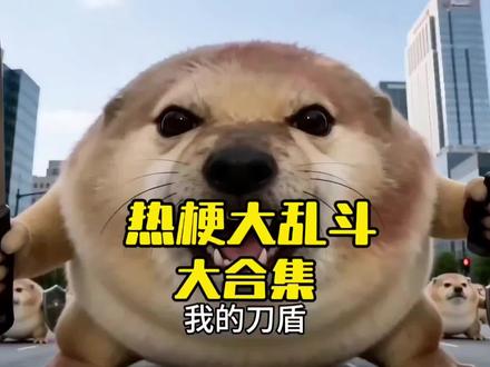 热梗大乱斗大合集#我的刀盾 #刀盾狗 #热梗 #热梗大爆炸 #搞笑