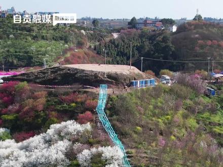 自贡市2026年春假公布 #自贡观察2026