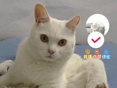 creo如何修复破面2 #creo结构设计#教程分享#这也能开播 #抖音创作者激励计划#橱窗