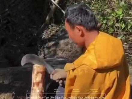 @荒野蜜蜂哥阿乐 奥利给