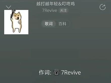 陪玩叮咚鸡歌词-抖音