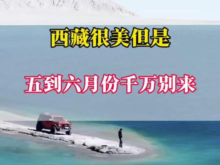西藏很美,但是五六月份不建议来,如果一定要来,可以跟着我这样玩。#西藏#西藏旅游#西藏旅游攻略#布达拉宫#西藏我们要
