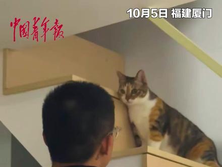 猫猫面对主人男朋友,人前人后两幅面孔。@包子姐姐