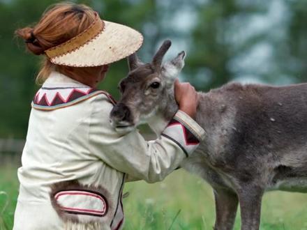小鹿希希:我被救活的故事 #百young非遗计划 #驯鹿 #鄂温克族 #少数民族 #呼伦贝尔