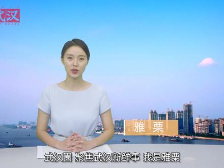 “武汉规划一张图”在微信公众平台正式上线