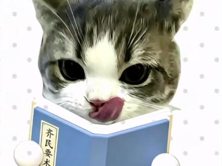 如何办银行卡?都需要哪些材料呢? #知识 #猫meme #银行卡 #学生 #科普