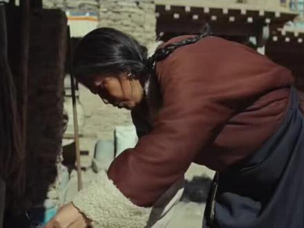 哇,是说藏语的菊菊宝#杨紫#生命树