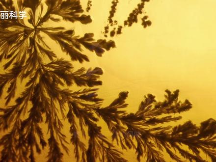 #科普话新春#【松花蛋上的“松花”是怎么来的?】#皮蛋上的松花是怎么形成的# 你家春节的餐桌上有松花蛋吗?松花蛋俗称“皮蛋”,表面有美丽的花纹,这些松花其实是蛋白中的氨基酸盐晶体析出形成的。那么松花蛋是怎么制作的?它又是由谁发明的?↓↓(出品:科普中国-星空计划)#科普冷知识#