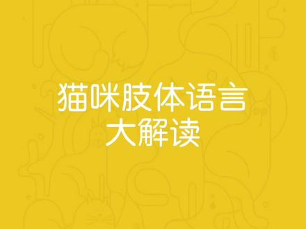 猫咪的肢体语言大解读#萌宠出道计划 #萌宠 #喵星人 #宠物