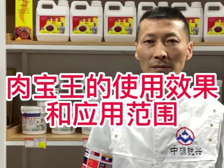 #调味料一秒钟教会你肉宝王的使用方法和应用范围#餐饮创业 #小本创业 让你不走弯路轻松做大厨#小吃培训