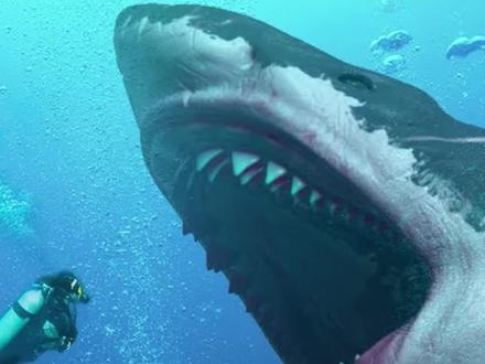 巨齿鲨的真实面目,这可比电影里拍的要刺激多了#涨知识 #神奇动物在抖音 #科普
