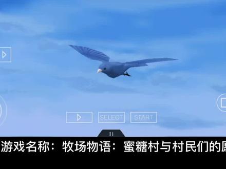 牧场物语游戏攻略讲解第一集