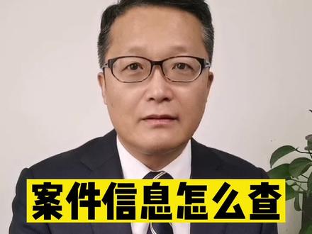 立案,查询案件信息的方法#法律