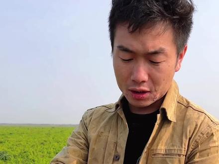 野的长在哪里?山呢?#欢迎光临我的世界 #倪海厦