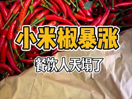 #小米椒价格 #餐饮人 市场逛一圈,心凉一大截。