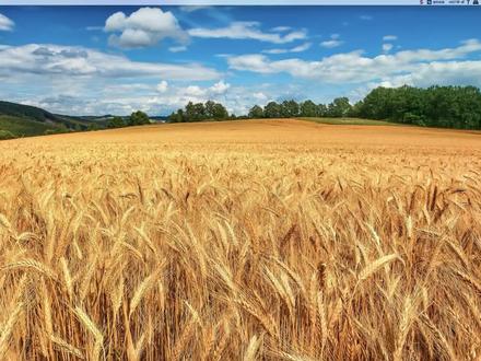 nuke12 mac版怎么安装