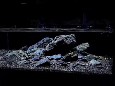 #溪流缸 120×60×40溪流缸造景全过程,底滤侧溢流溪流缸,灯:阳光几何75w,原生地野采溪流石和溪流沙#鱼缸造景 #水族 #原生缸 #养鱼日记