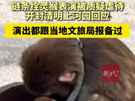 链条拴灵猴表演被质疑虐待,开封清明上河园回应称演出都跟当地文旅局报备过