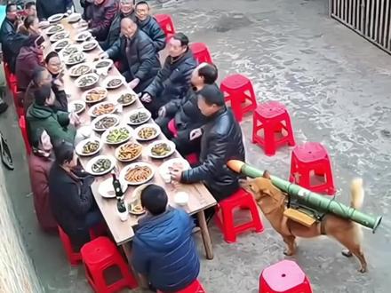 2月14日社会热点信息差 #热点 #热点新闻事件 #青蛙快刷