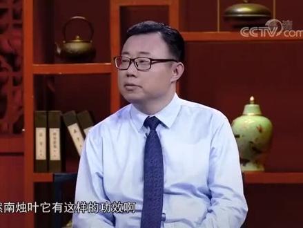 南烛又名乌饭叶是人类的最美保健