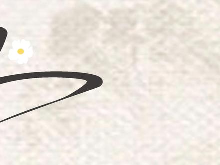 一个视频带你了解,到底什么是苎麻。#良良 #苎麻