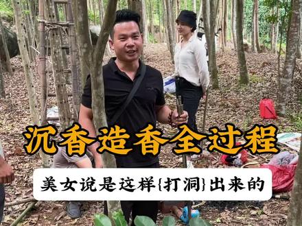 #沉香造香全过程 #现场实拍 #户外 沉香火眼包是这样打洞出的你们知道了吗?