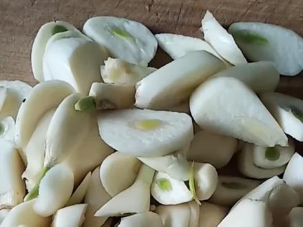 大蒜白糖水养鸡就是美#养鸡 #养殖 #三农#大蒜喂鸡 #农村散养土鸡 @抖音小助手 @抖音热点