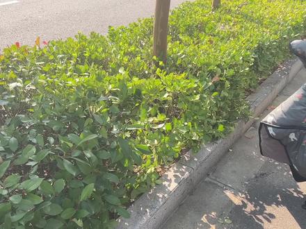 华为手机丢了也能找回?我用这个方法帮朋友把丢失手机给找了回来 #手机数码 #数码 #华为