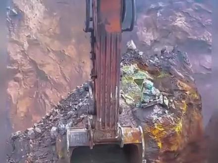 挖机小哥挖到的稀有奇货!#挖机 #奇珍异宝 #万万没想到 #科普 #涨知识