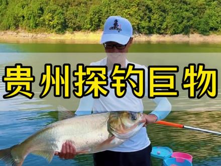 这巨物钓着是真的过瘾哦,一条条比脑壳还大#2026dou来钓鱼 #dou是钓鱼人 #原来钓鱼才是抖音运动顶流 #爆护饵料 #饵料